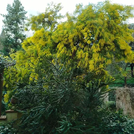 Casa Quaratesi * Firenze